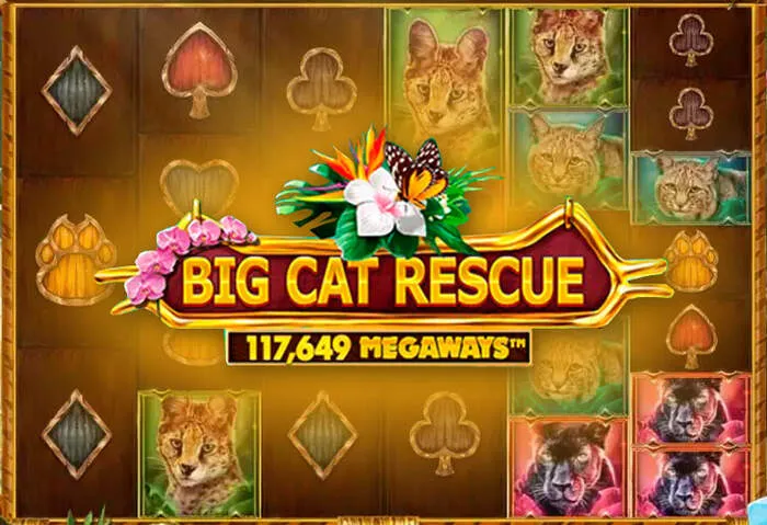 Tigre777casino-ում մեծ շահումներ և անվտանգ խաղային փորձ