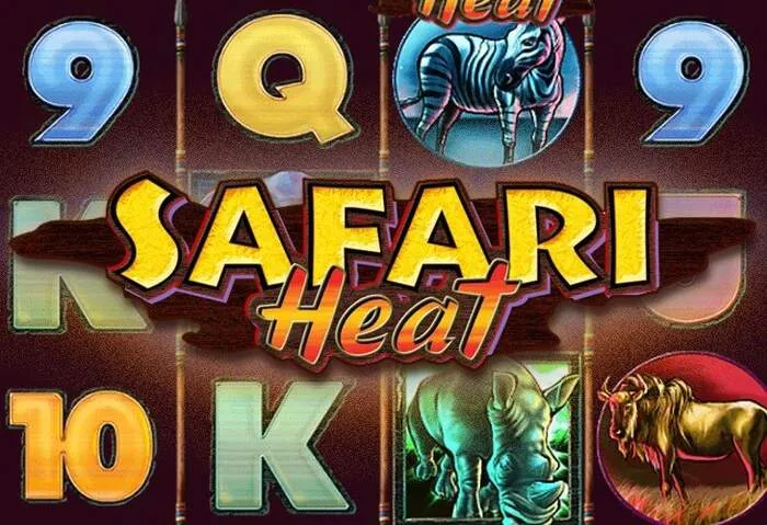 Vielfältige Spielautomaten und Live Casino Action bei Tigre777casino Online.